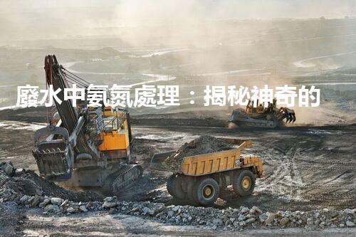 廢水中氨氮處理：揭秘神奇的氨氮轉(zhuǎn)化術(shù)！